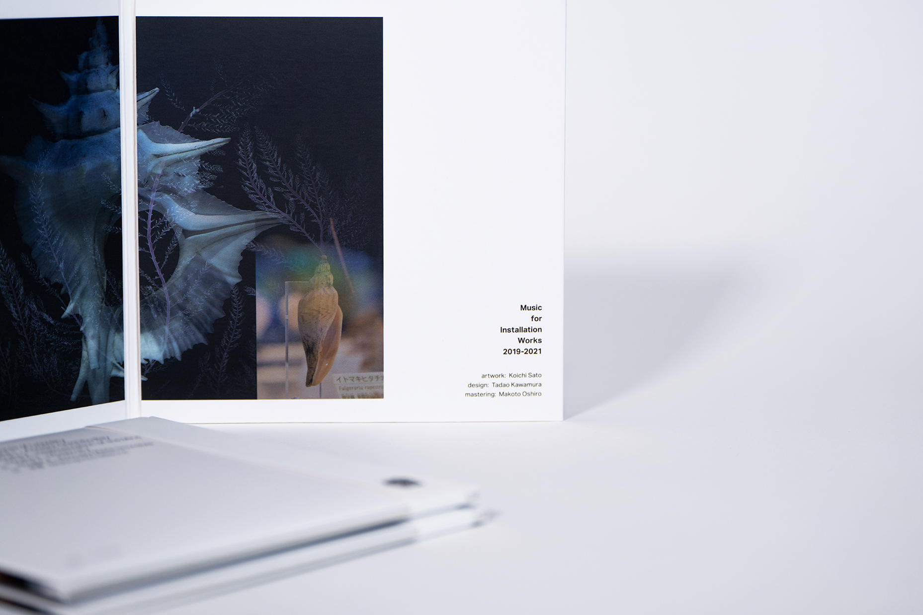 Music for Installation Works