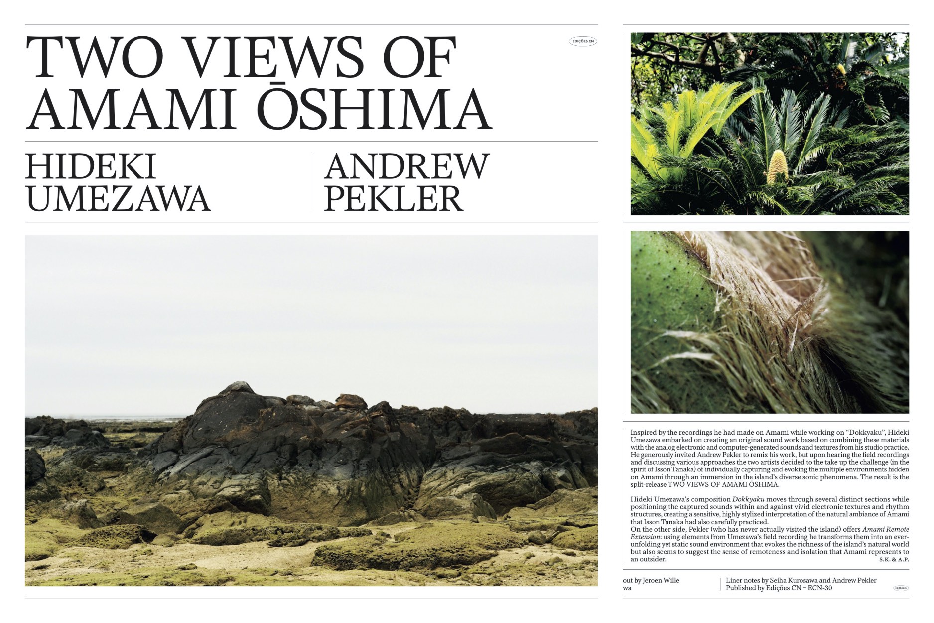 Two Views of Amami Ōshima