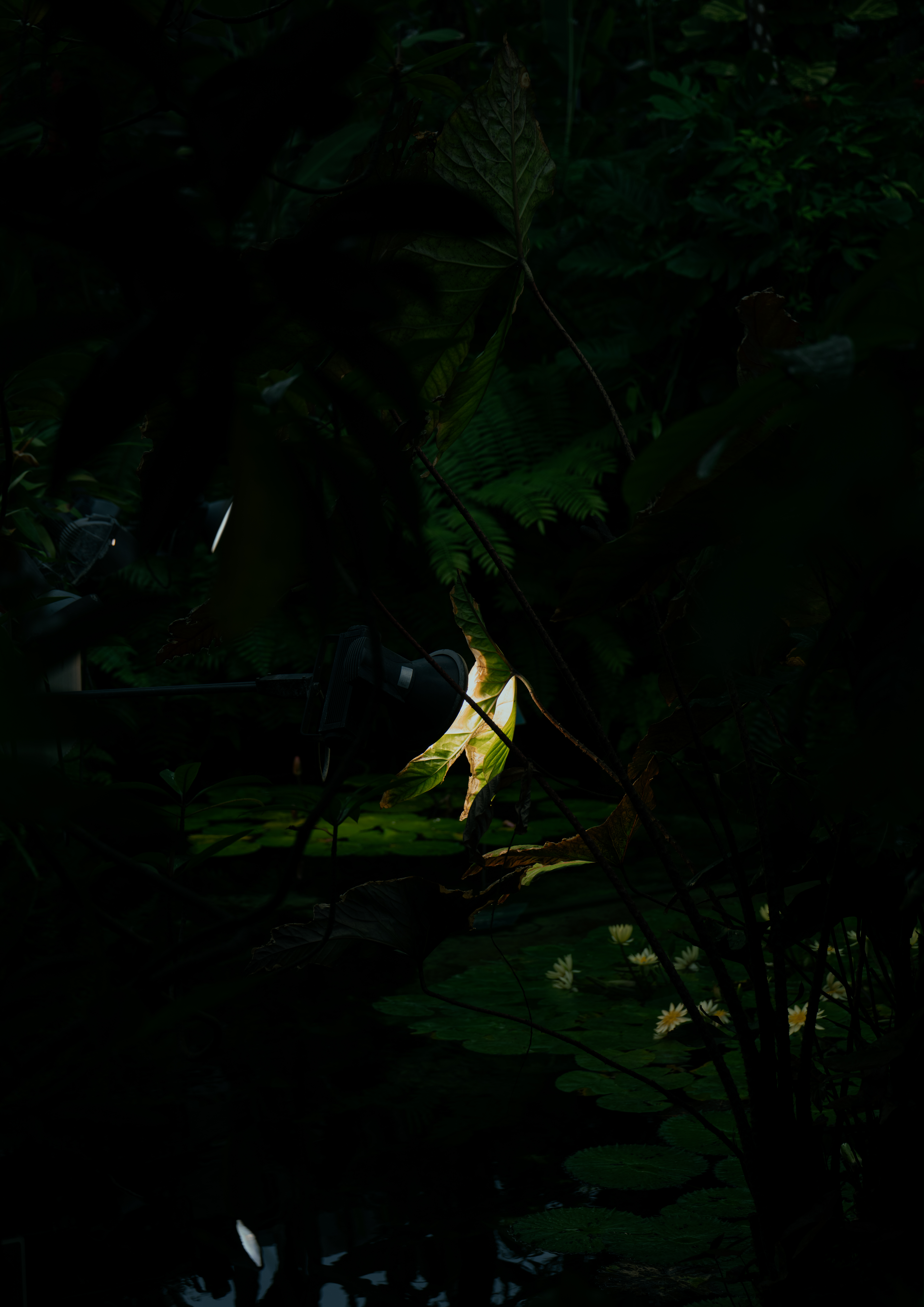 Structures of Liquidity_01