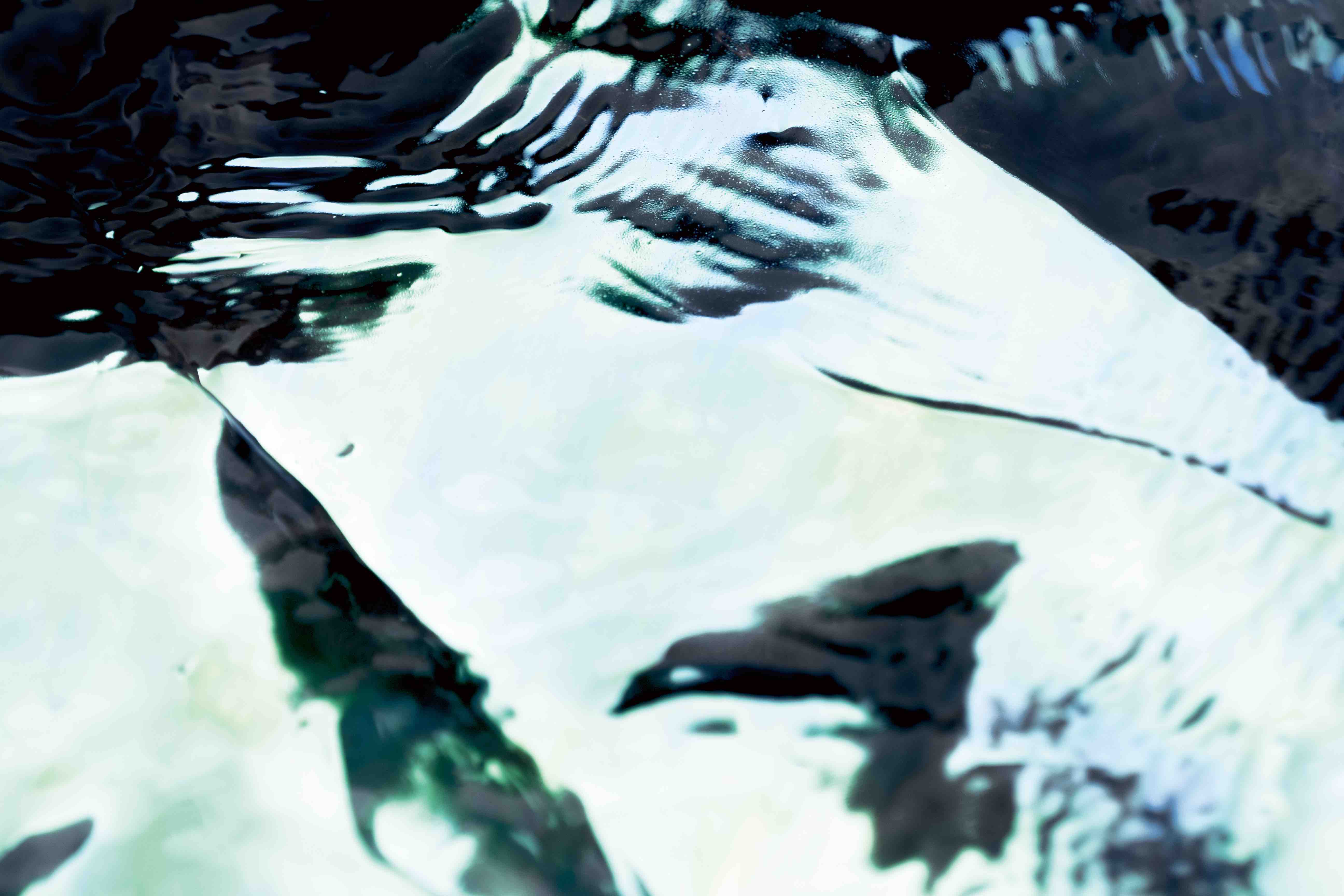 Reflection and Some Surfaces