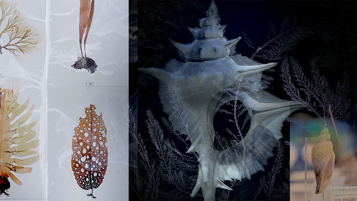 Structures of Liquidity