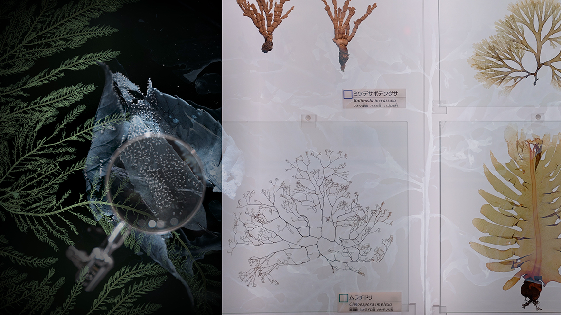 Structures of Liquidity