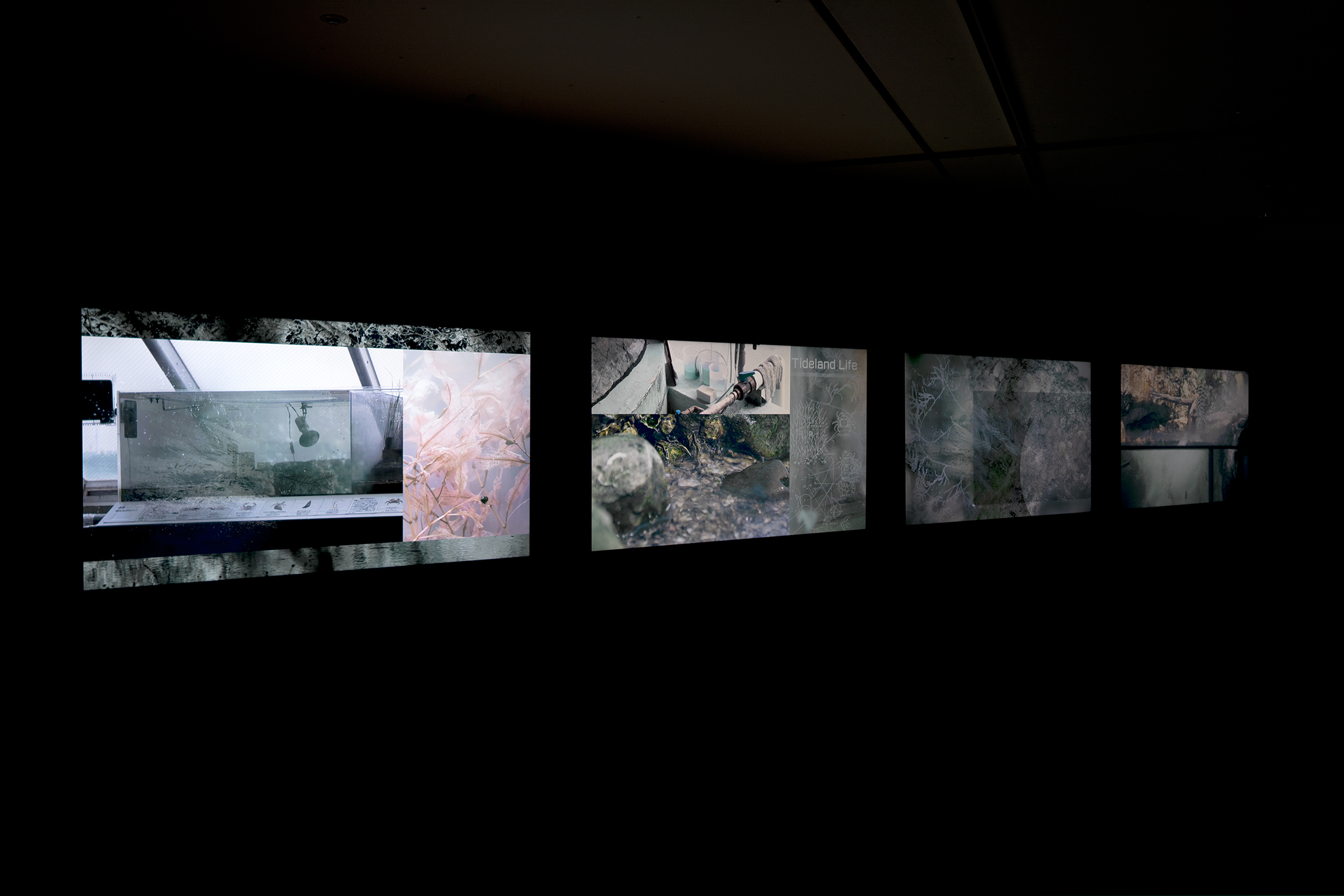 Structures of Liquidity