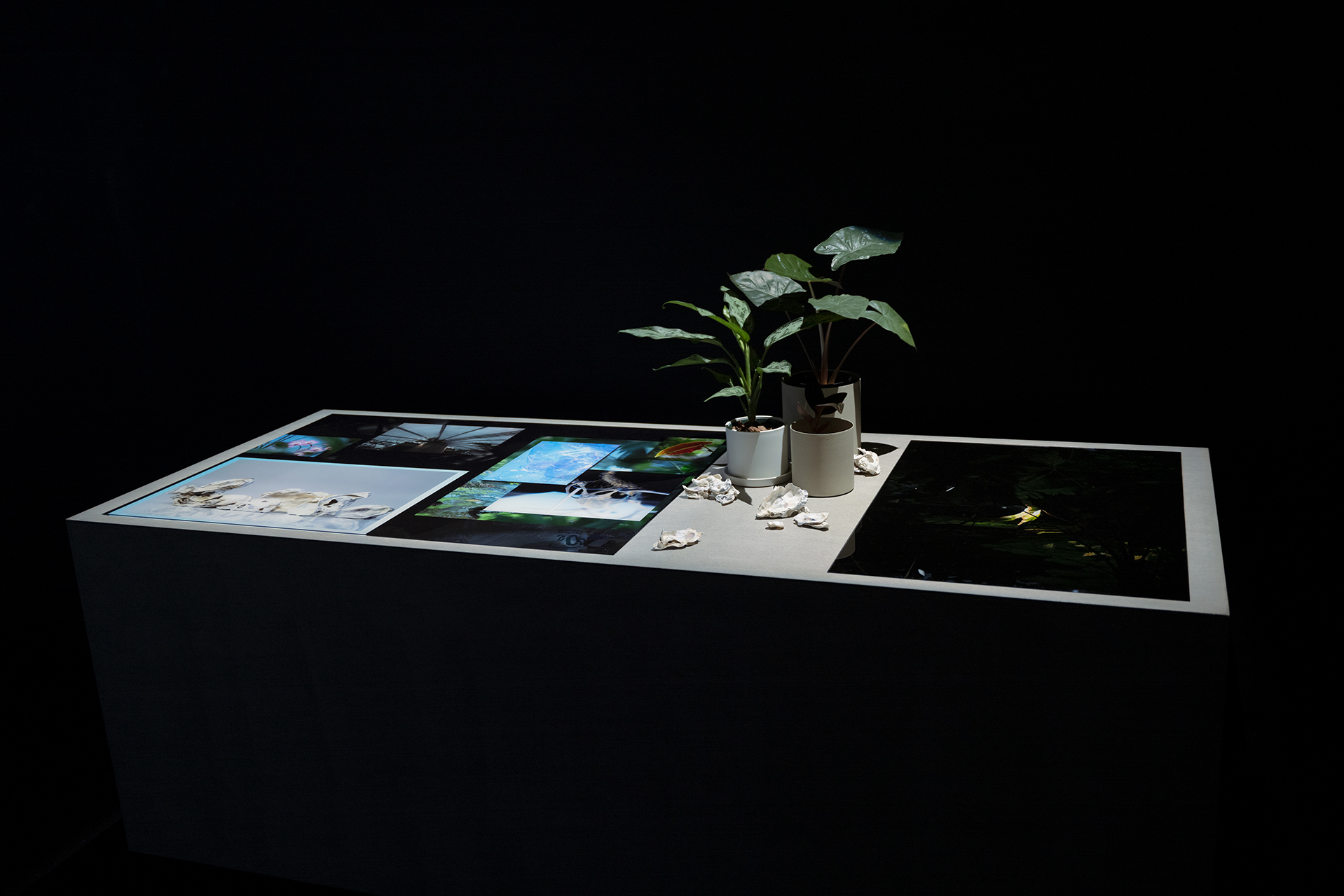 Structures of Liquidity